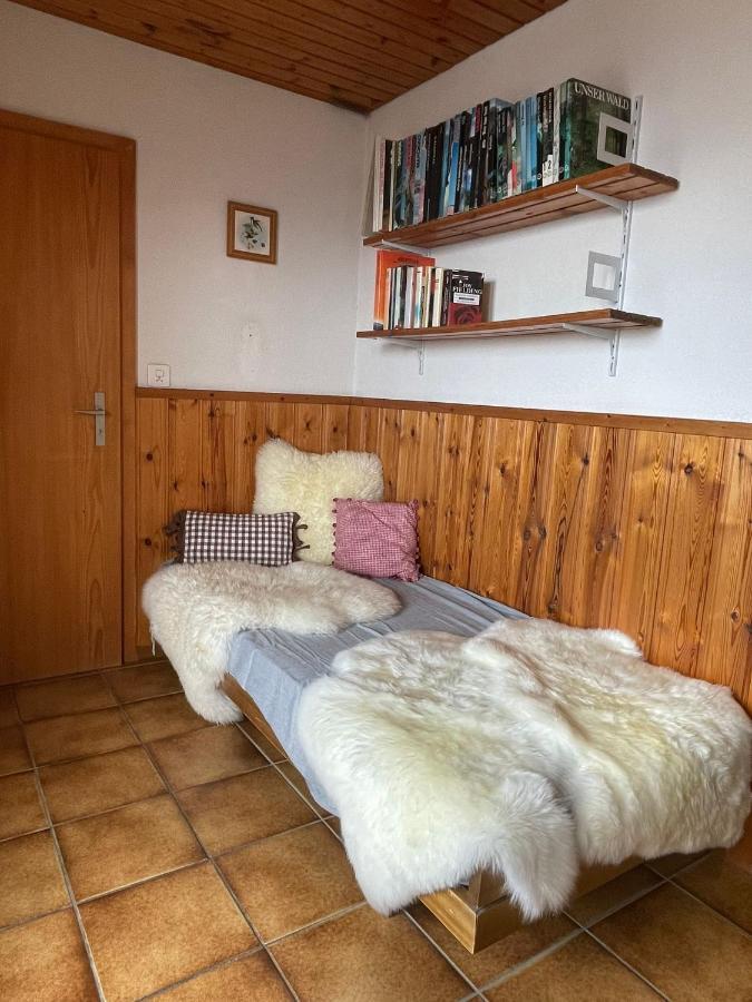 Gemuetliche Wohnung Mit Traumaussicht! Albinen Eksteriør bilde